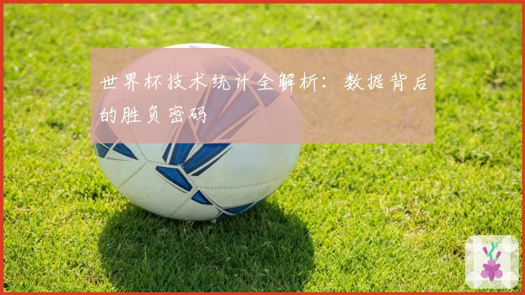 世界杯技术统计全解析：数据背后的胜负密码