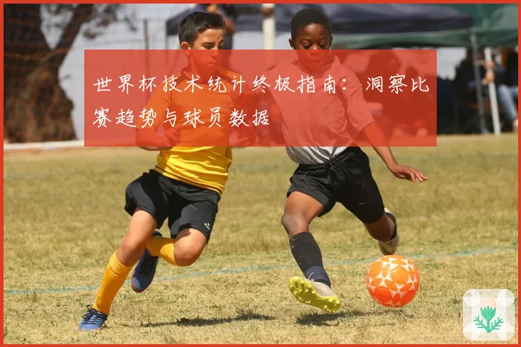 世界杯技术统计终极指南：洞察比赛趋势与球员数据