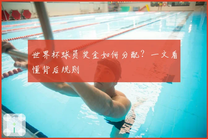 世界杯球员奖金如何分配？一文看懂背后规则