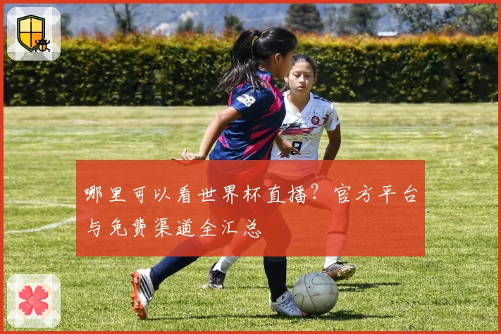 哪里可以看世界杯直播？官方平台与免费渠道全汇总